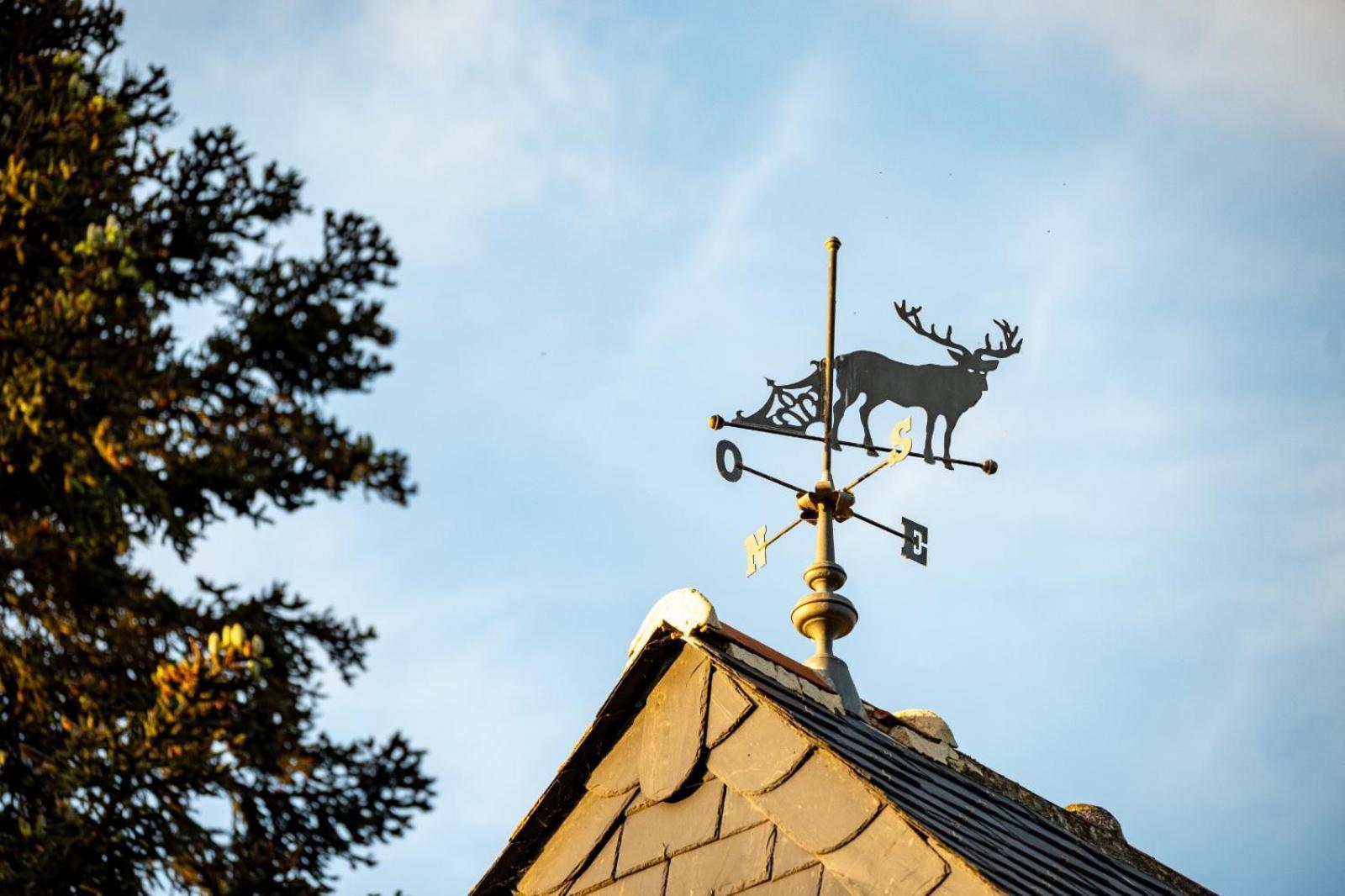 Le Mouton Bed & Breakfast Blaison Eksteriør bilde